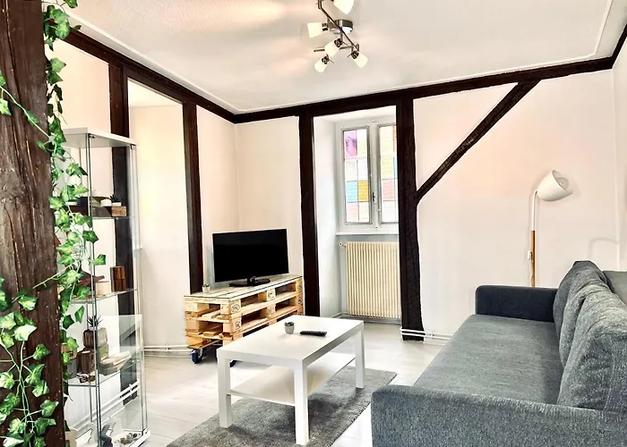 Seppala Charmant Appartement
